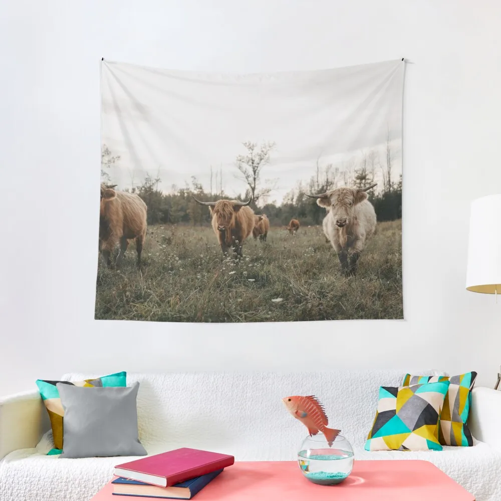 

Highland cows in the meadow at sunset Tapestry Mushroom Bedrooms Decorations Aesthetic Room Decor Korean Bedroom Deco Tapestry