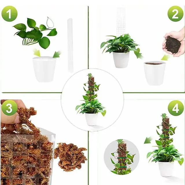 4Db -Os Növényoszlopok Beállított Vonatnövények Felfelé Nőnek A Kerti Növények Támogatása Beltéri Mászó Számára - Image 3