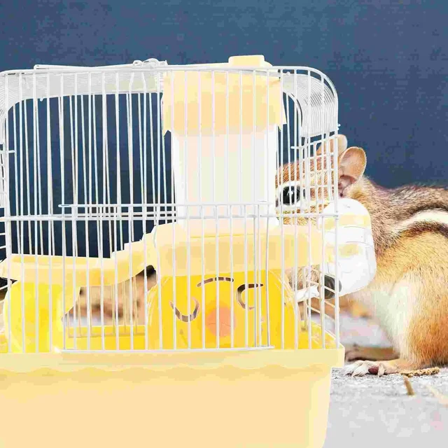 편안한 안식처와 즐거운 놀이마당: 대형 액세서리 플랫폼 와이어 케이지 하우스