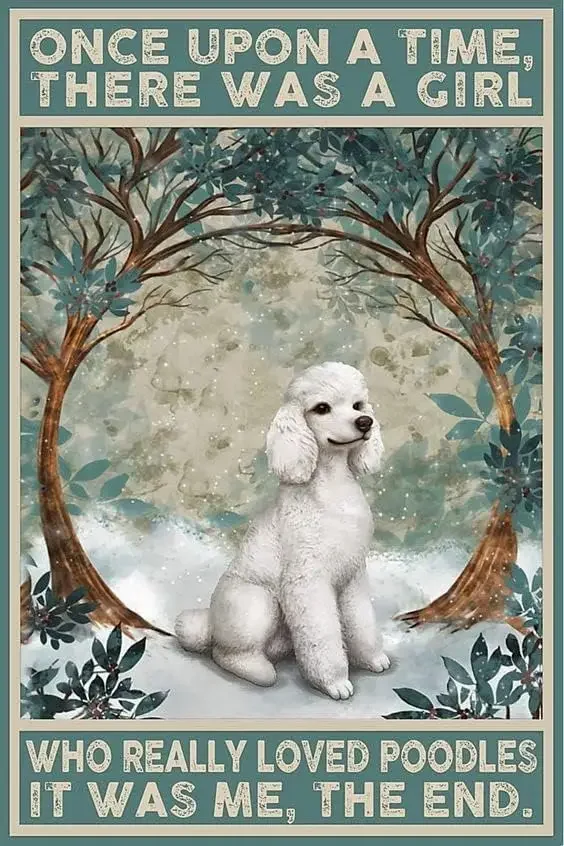 

Metal Tin Sign Poodles Once Upon A Time Sign Metal Sign Aluminum Funny Signs Vintage Wall Decor for Home Garden Bar