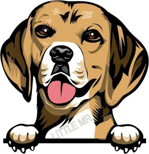 For Beagle Peeking Dog Breed Colour Window Wall Laptop Sticker Waterproof