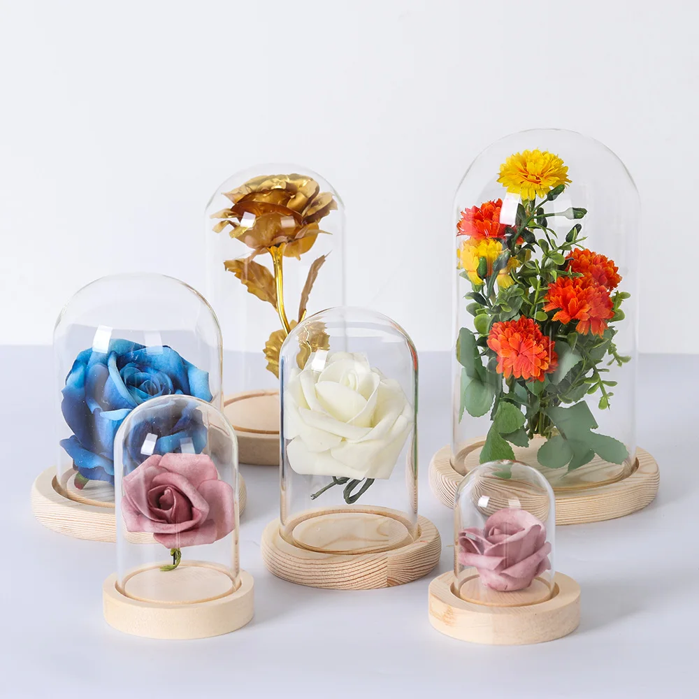 Dry Flower Glass Dust Cover with Wooden Base Immortal Flower Display Stand Clear Glass Vase Glass Cloche Plant Bottle Home Decor