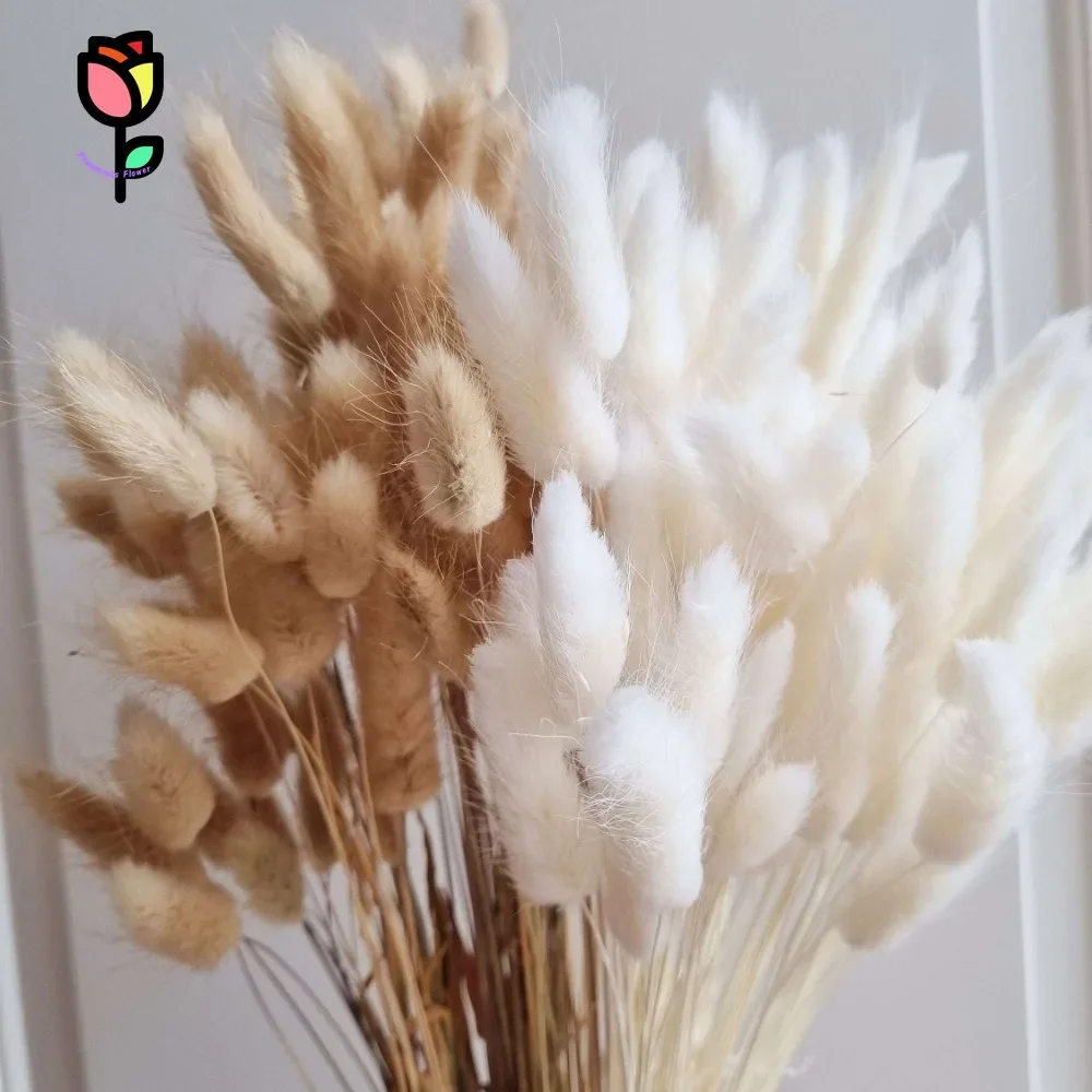 

60Pcs Dried Flowers Fluffy Bunny Rabbit Tail Grass Mixed Wedding Party Decor Natural Pampas Lagurus Ovatus Boho Home Decoration