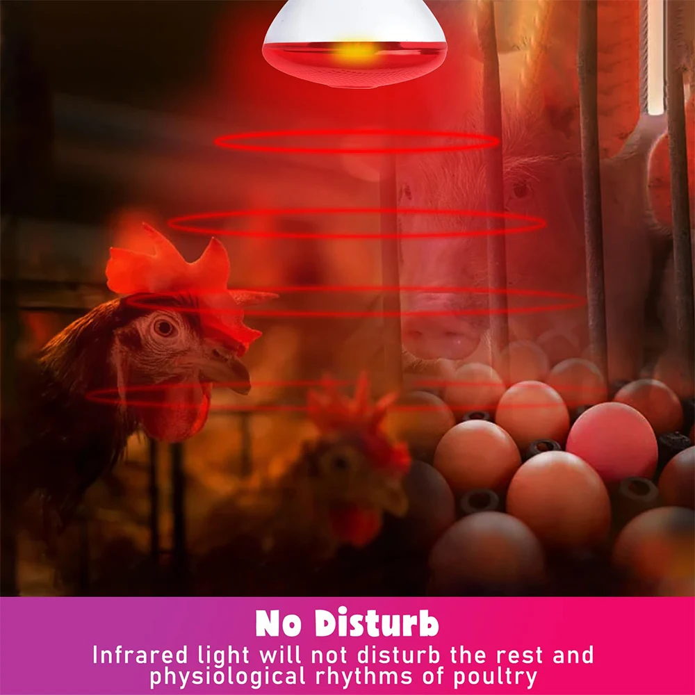 220V Feeding box Lighting Infrared Heat Lamp Bulb Suitable for Reptiles Plants Pets Livestock Poultry Farm Feeding Heating Lamps