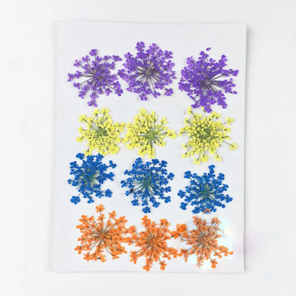 Slide image 628b52b2d7de44b1833612fd770832eb