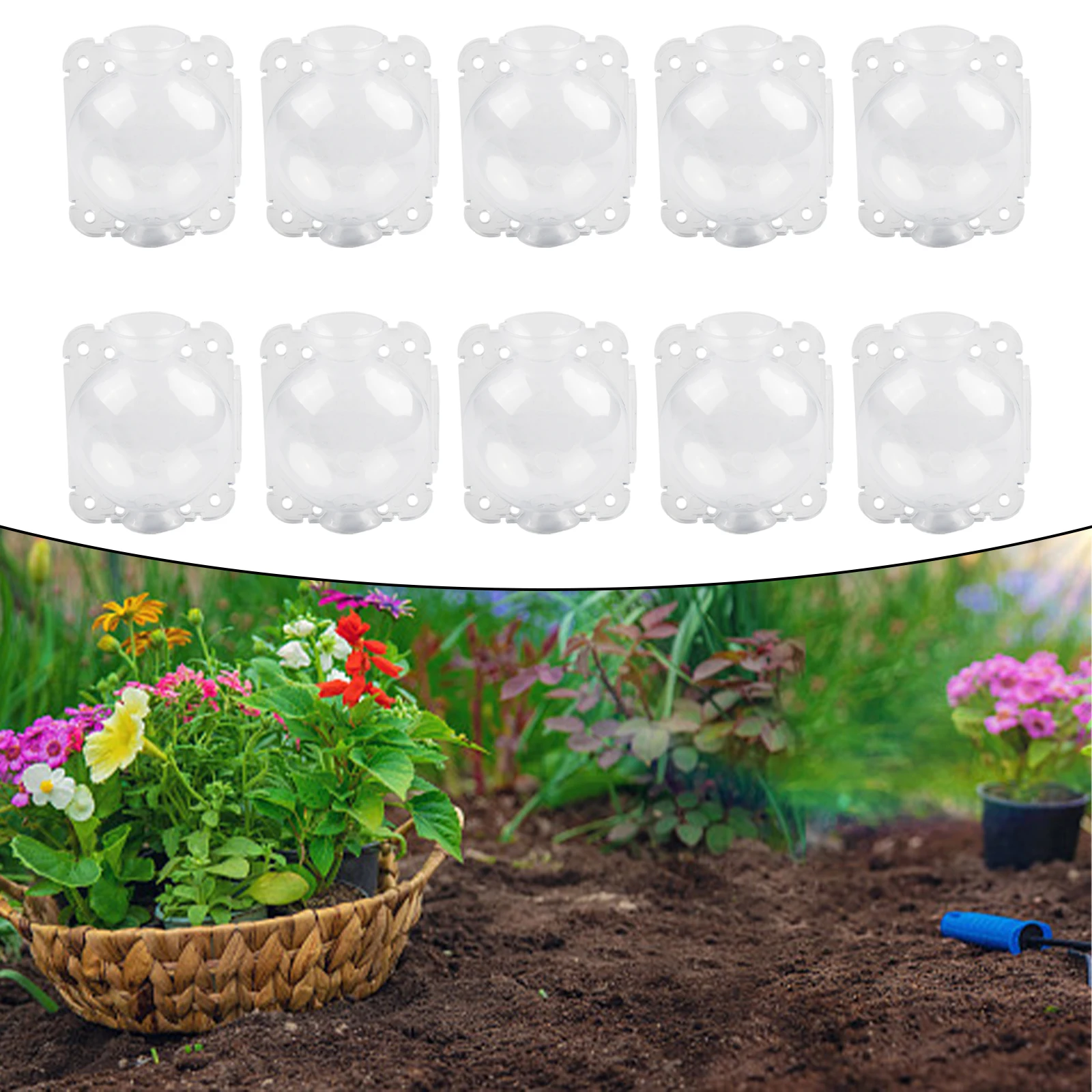 Plant Rooting Box 5cm/8cm 10pcs plant rooting box