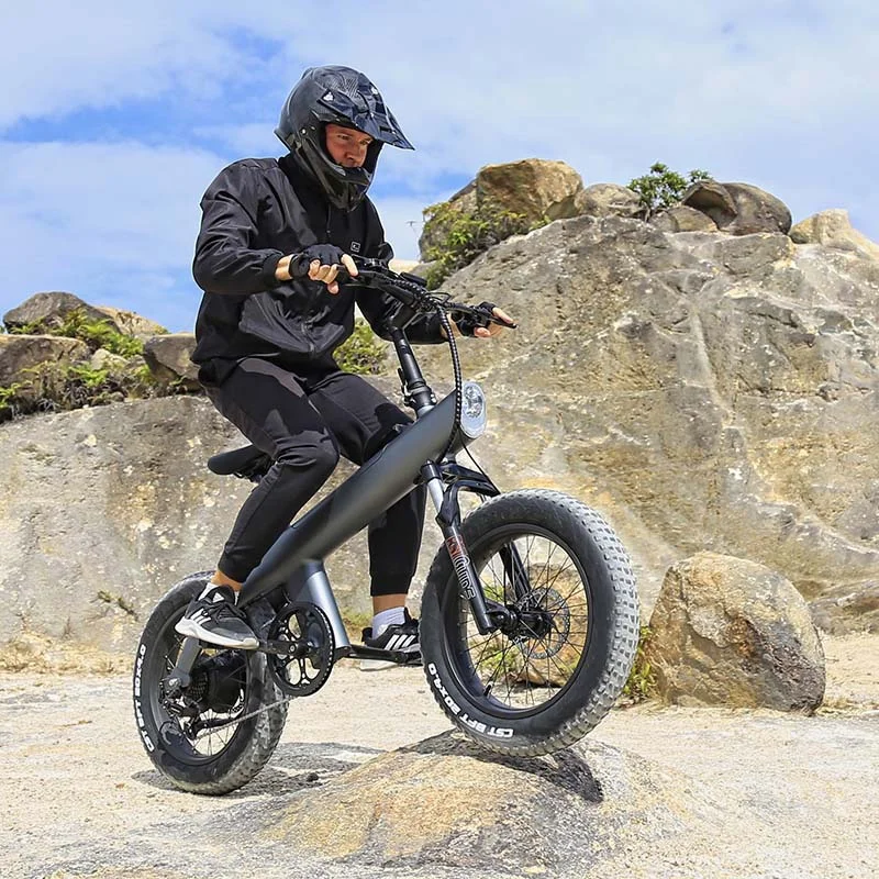 2023 new design eu usa warehouse e bike 750w powerful motor 20 inch off- road tires 75km ranges folding electric bike custom блок питания fractal design ion gold 750w fd p ia2g 750