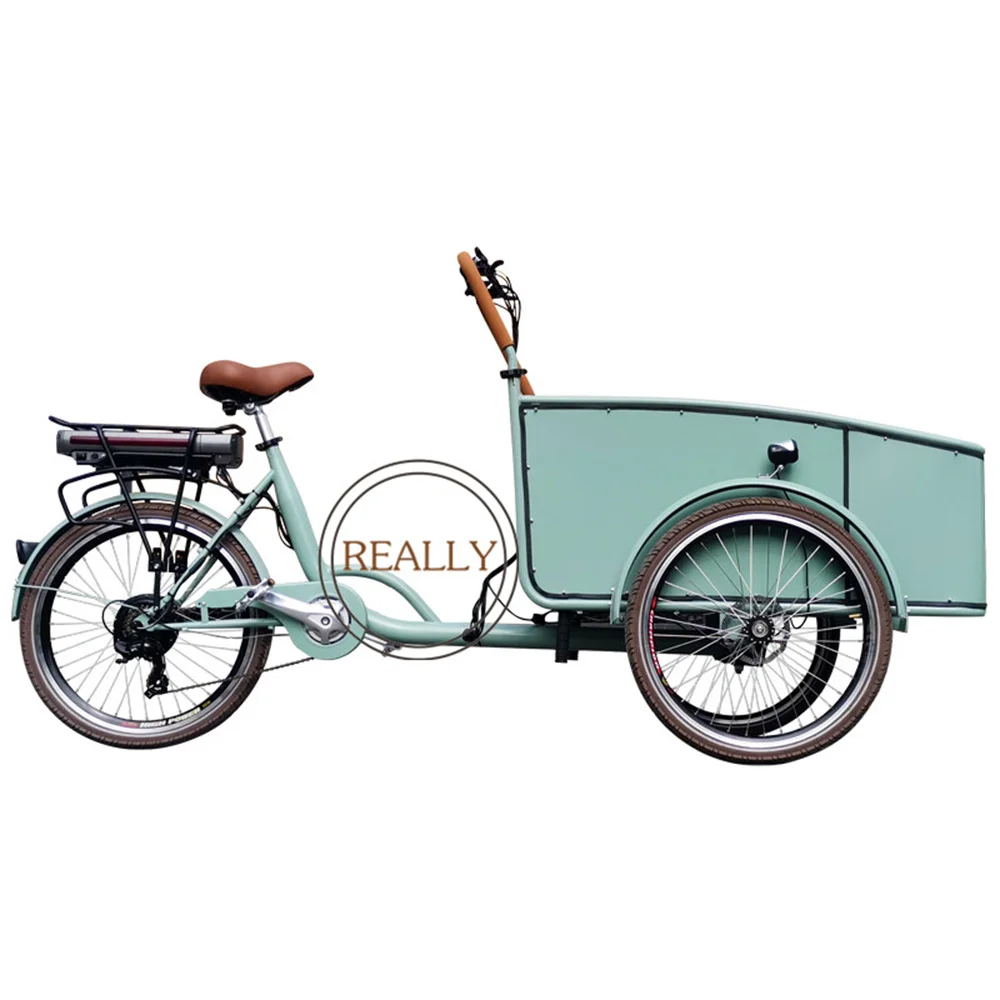 Tricycle cargo électrique coloré pour adultes, vélo cargo à trois roues