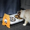 Non-Slip Double Cat Bowl Dog Bowl with Stand Pet Feeding Cat Water Bowl for Cats Food Pet Bowls for Dogs Feeder Product Supplies 3