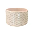Donut Pink