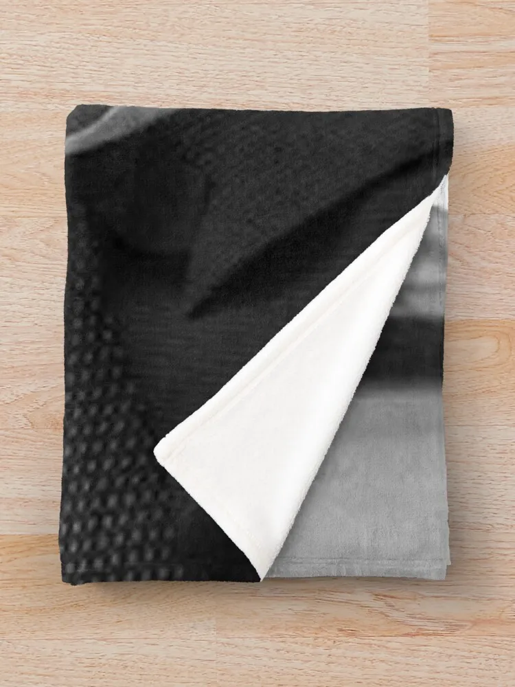 Elijah ������ ���, ���� ���, ķ�� ���, �м�