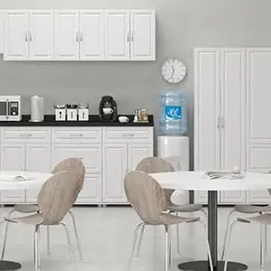 storage;storage cabinets;kitchen cabinets;garage cabinets;cabinet;laundry room storage;white cabinet