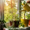 Metal Trellis for Climbing Plants 3