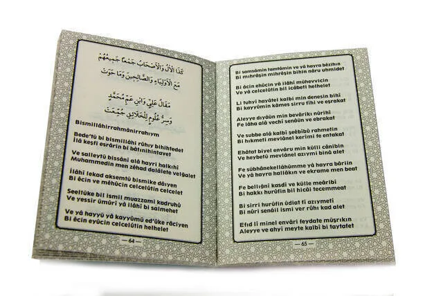 Рисунок 3 - Celcelutiyye, духовная броня