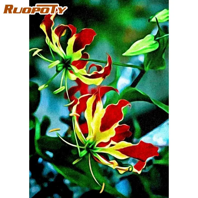 

RUOPOTY Picture By Numbers Kits Red Yellow Flower Oil Paint By Number Handmade Unique Gift For Adults 40x50cm Frame Artwork