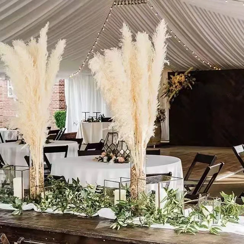 Decoración de Pampas secas naturales, ramo de Pampas grandes y esponjosas,  flores secas largas, decoración de arco de boda, sala de estar, 80cm