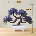 Longxushu violet