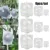 10Pcs Plant Rooting Equipment High Pressure Propagation Grafting Box Nursery Box Breeding Case For Garden Graft Box Sapling 5cm 