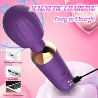 Leistungsstarker AV-Vibrator, Nippel-Klitoris-Stimulator, 10 Geschwindigkeiten, G-Punkt-Massagegerät, Zauberstabdildo, weiblicher Masturbator, Sexspielzeug für Frauen 6
