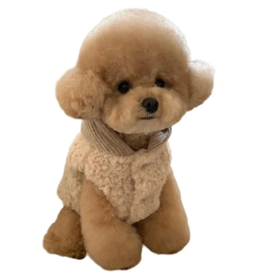 

Pet Vest Fleece Dog Clothes Winter Warm Two-legged Pet Clothes with Hat Pet Coat Puppy Clothes Dog Plush Jacket Costumes Cotton