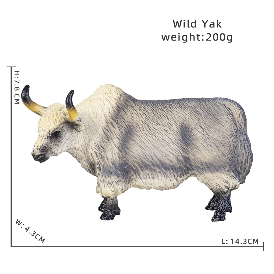 Wild Yak