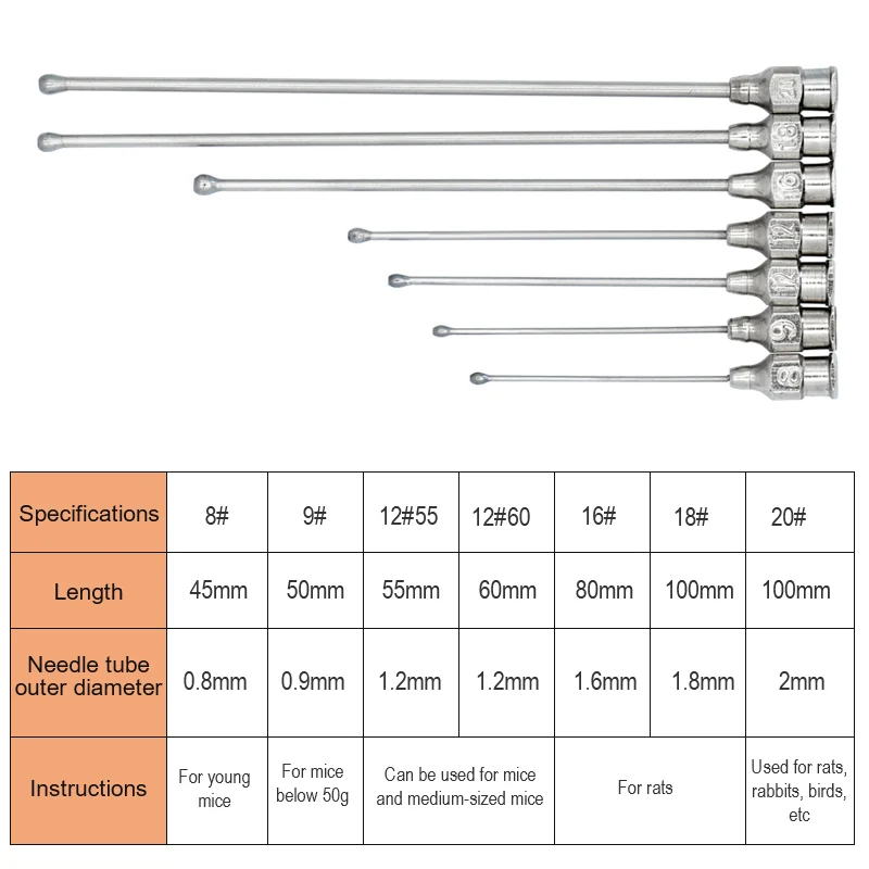 Bird Feeding Syringe Bird Oral Gavage Needle Stainless Steel Birds Feeding Syringe Tube Nozzle Rats and Mice/Parrots/Birds/Poultry/Pets Straight Elbow Gavage Needles