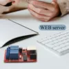 LAN Ethernet 2-way Relay Board Delay Switch TCP/UDP Controller Module WEB server 3