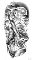Image 25