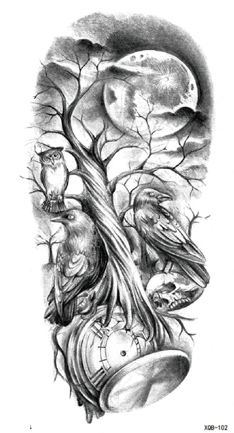 Image 25