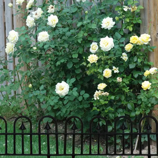 Dekoratív Kerti Kerítés Kültéri 5Db Újrahasznosított Stílusú Rugalmas, Nem Ossza Tüskék Díszítő Határ - Image 5