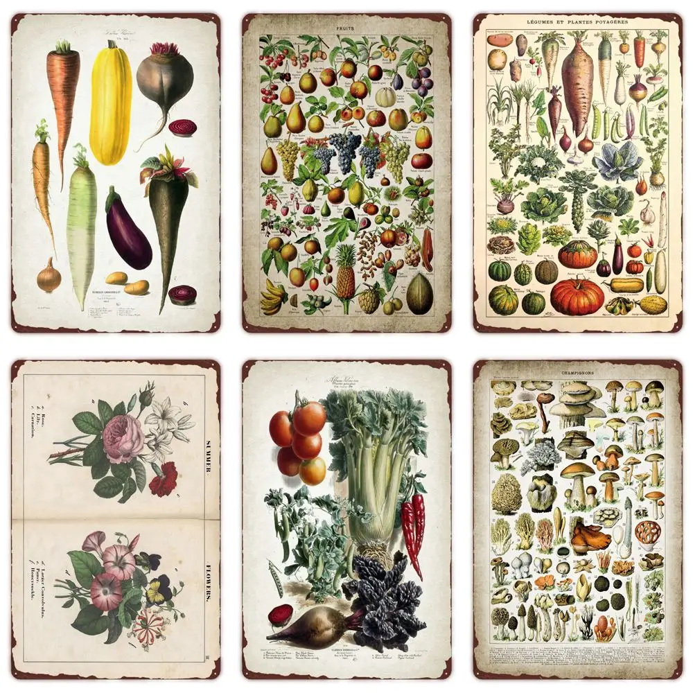 Vegetable Plants Retro Poster Fruits Vintage Metal Tin Sign Cauliflower