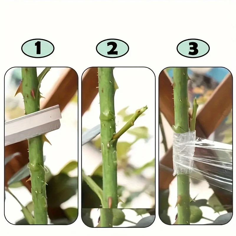 4팩 접목 필름 플라스틱 필름 스트레칭 필름 자체 접착 과일 나무 접목 필름 소형 롤 권선 필름