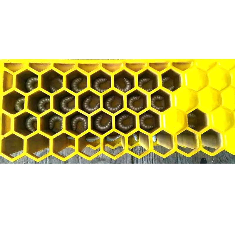 Large Bee Life Cycle Mold Beekeeping Education Teaching Mold, GFRP Glass Fiber Reinforced Plastics Material Bee Life Mold 2
