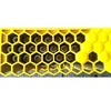 Large Bee Life Cycle Mold Beekeeping Education Teaching Mold, GFRP Glass Fiber Reinforced Plastics Material Bee Life Mold 2
