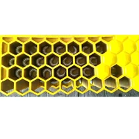 Large Bee Life Cycle Mold Beekeeping Education Teaching Mold, GFRP Glass Fiber Reinforced Plastics Material Bee Life Mold 2