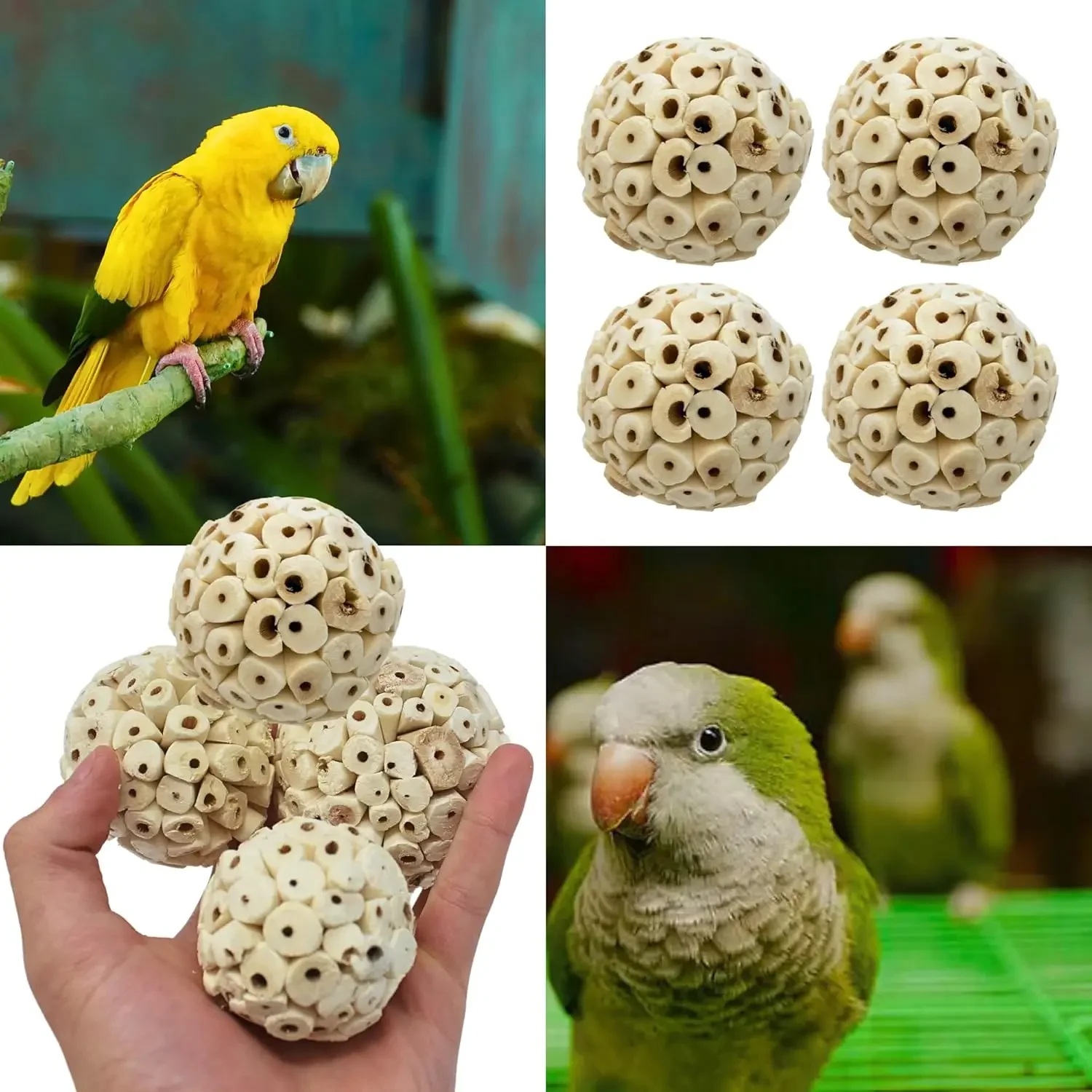 Curated visual reference: Parrotlet Interactive Toys Reviews Reference: Parrot Chewing Toy Ball Chew Shred Foraging Bird Cage Accessories