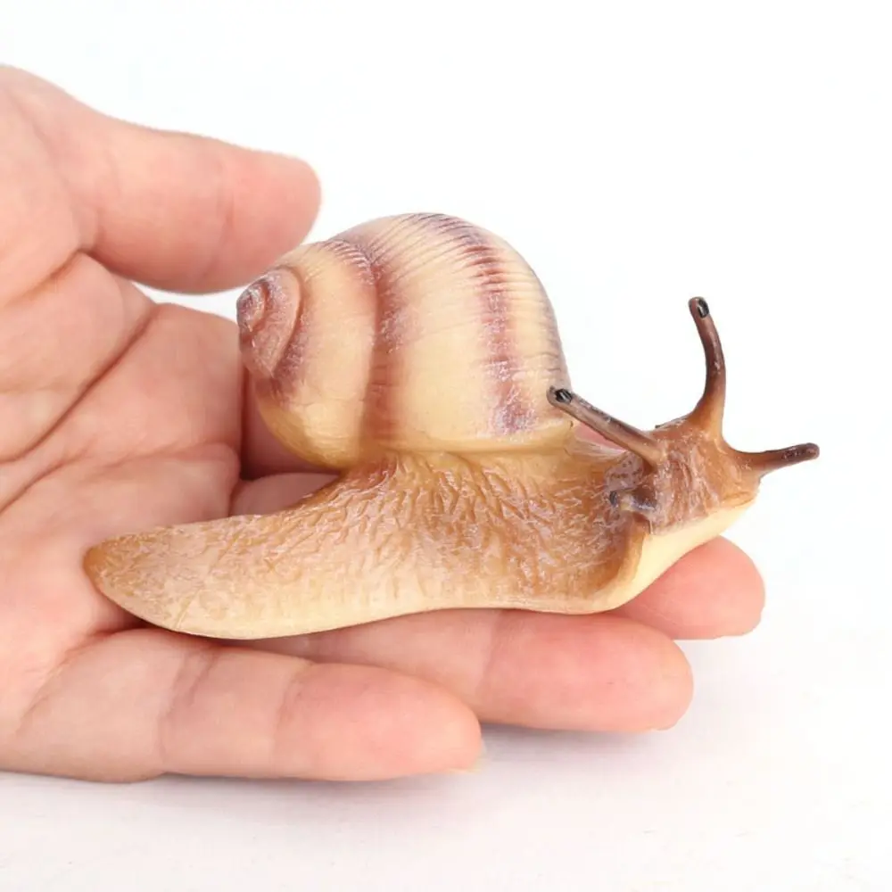 Delicate Solid Micro Landscape Children's Cognitive Education Snail Statue Simulation Insect Snail Model Garden Decoration