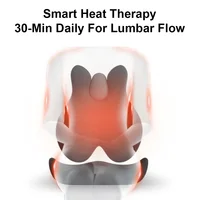 Electric Massage Waist Pad