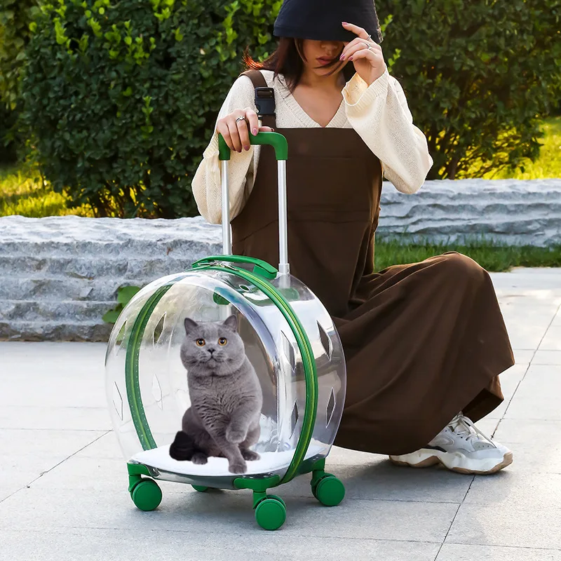 

Trolley Suitcase Carrier Transparent Pet Carrying Bag Cats Conveyors Carrying and Strollers Cat Cage with Wheels Pet Products