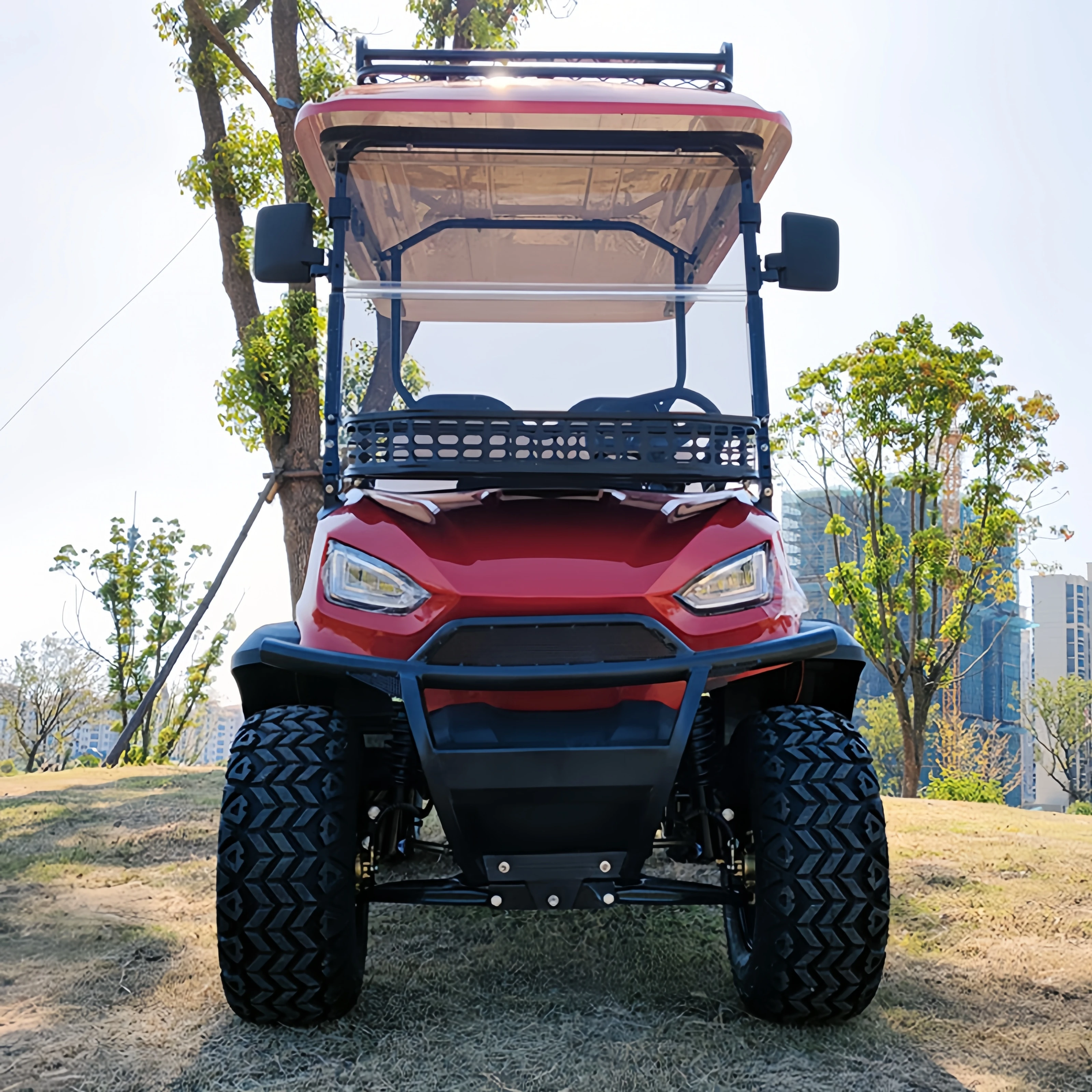 2 4 6 8 Seater Street Legal Off Road Lithium Battery Electric Golf Carts