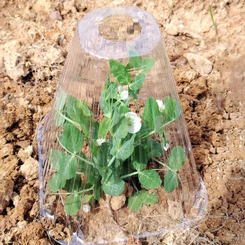 2025 New 50pcs Growth Box Planting Tent Reusable Square Use Plant Clock Cover To Protect Plants From Bird Frost And Snail Damage