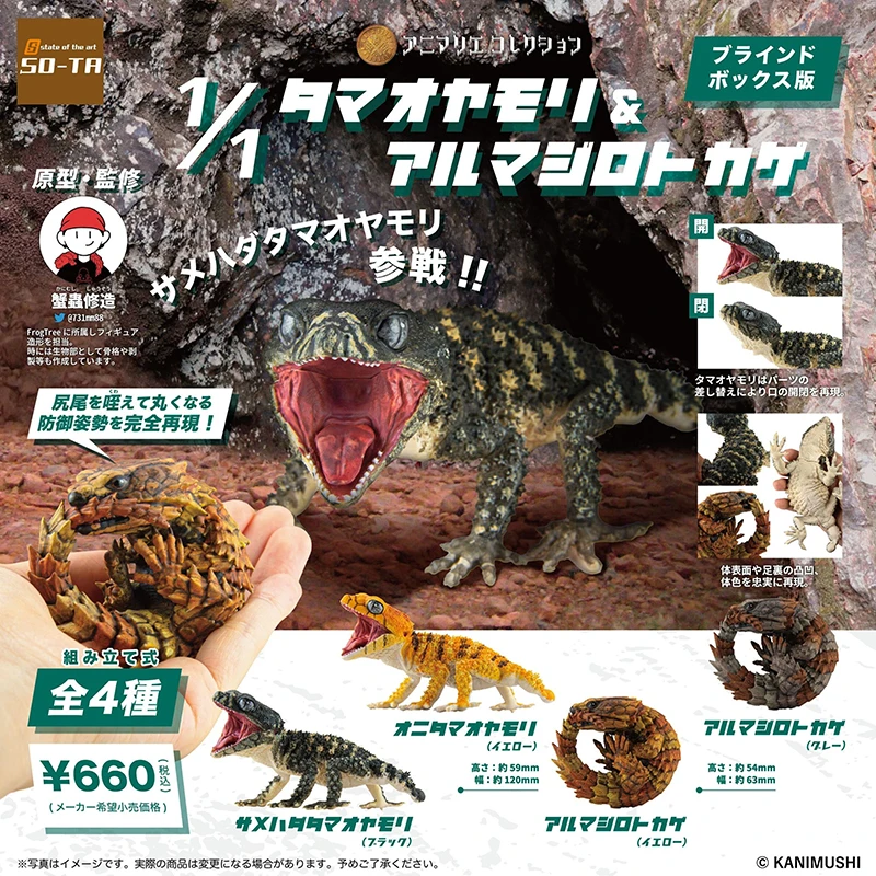 Genuine Gacha Figure Modello Su Piccola Scala Armadillo Giled Lizard Cordylus Cataphractus Nephrurus Levis Action Figure Model Toys