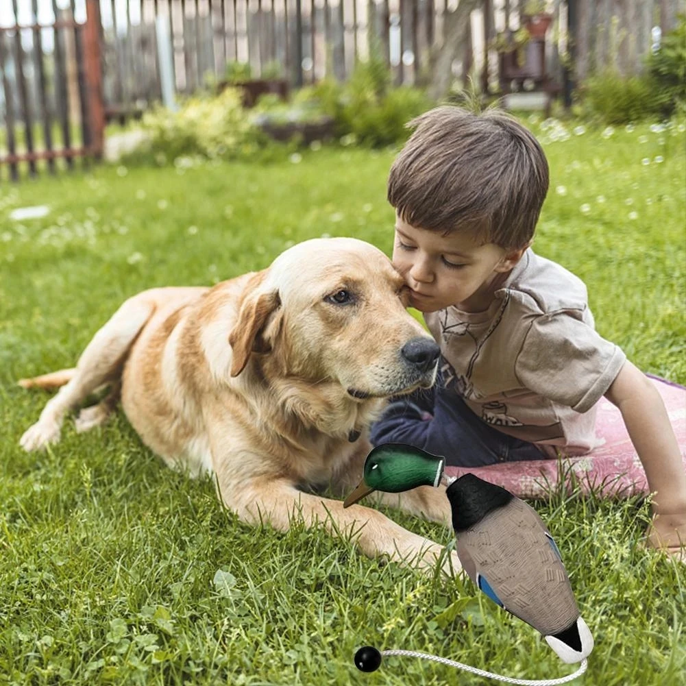 Duck Bumper Toy Hunting Dog Trainer Tools for Training Puppies and Adult, Hound Dogs with Whistle