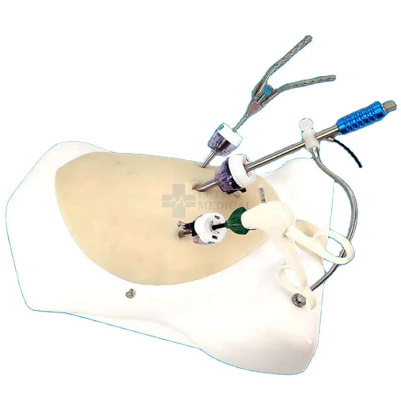 

High quality silicone Laparoscopic Trainer Box Abdominal Training Simulator Box With USB Camera for Medical Training