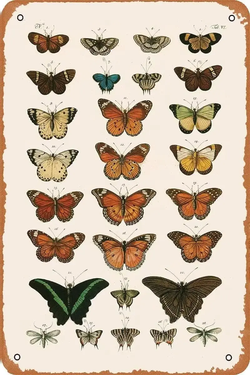 

Типы бабочек, винтажные металлические знаки, Настенный декор, тарелка для кафе, необычная Рождественская бара, паба