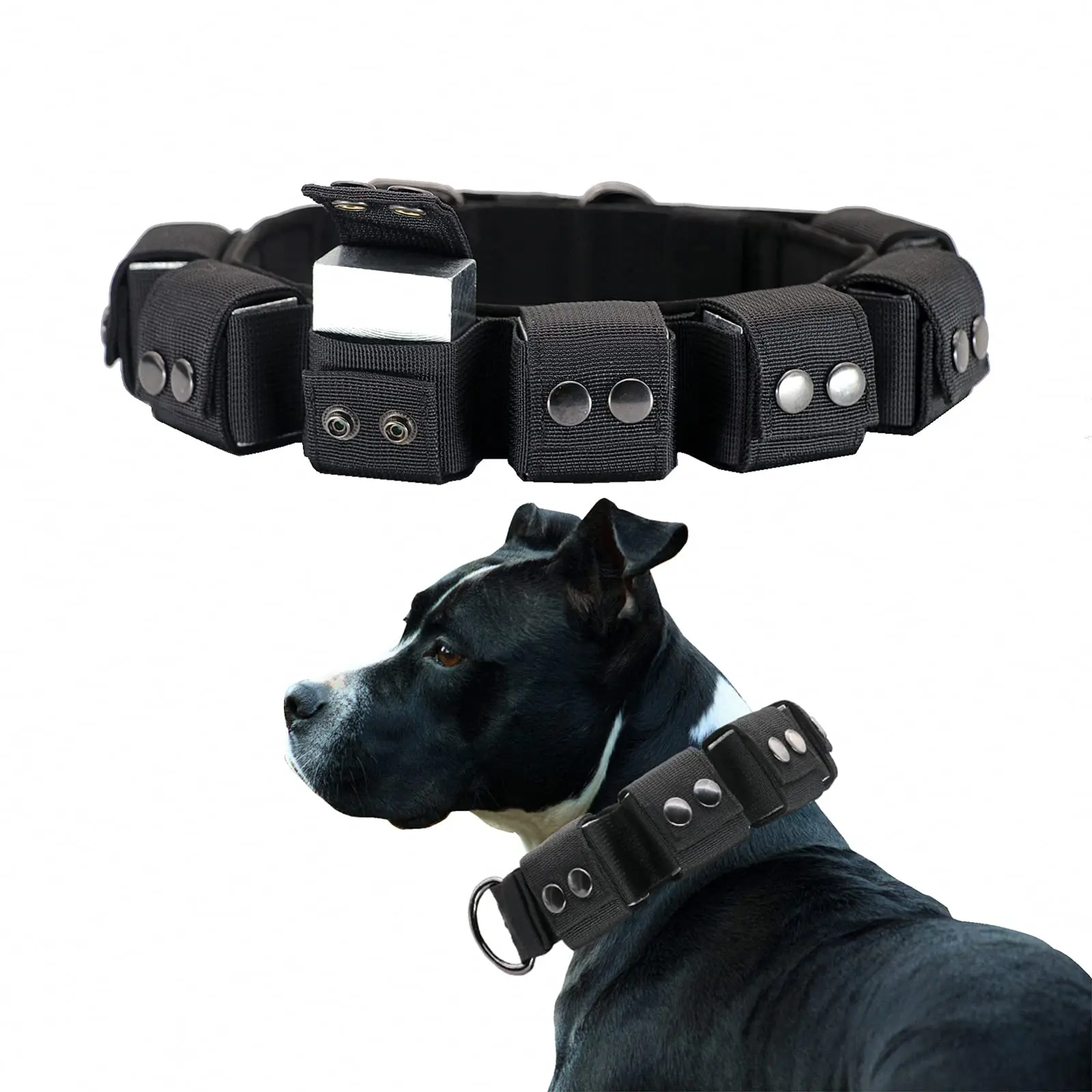 Amazon Yiscor Dog Training Collar Collar Strap Yisence Dog