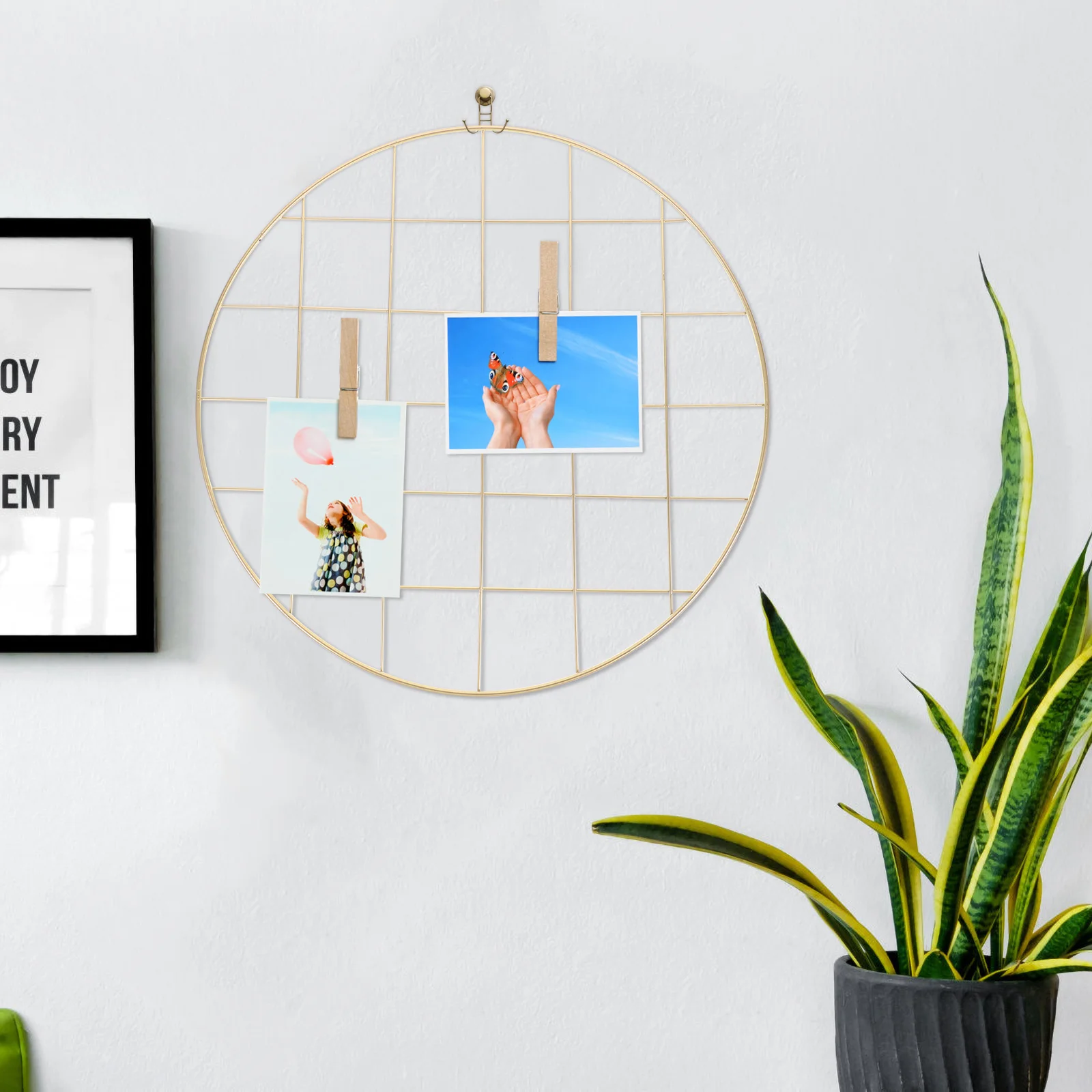 

Photo Wall Display Shelves Panel Plants Iron Picture Storage Holder