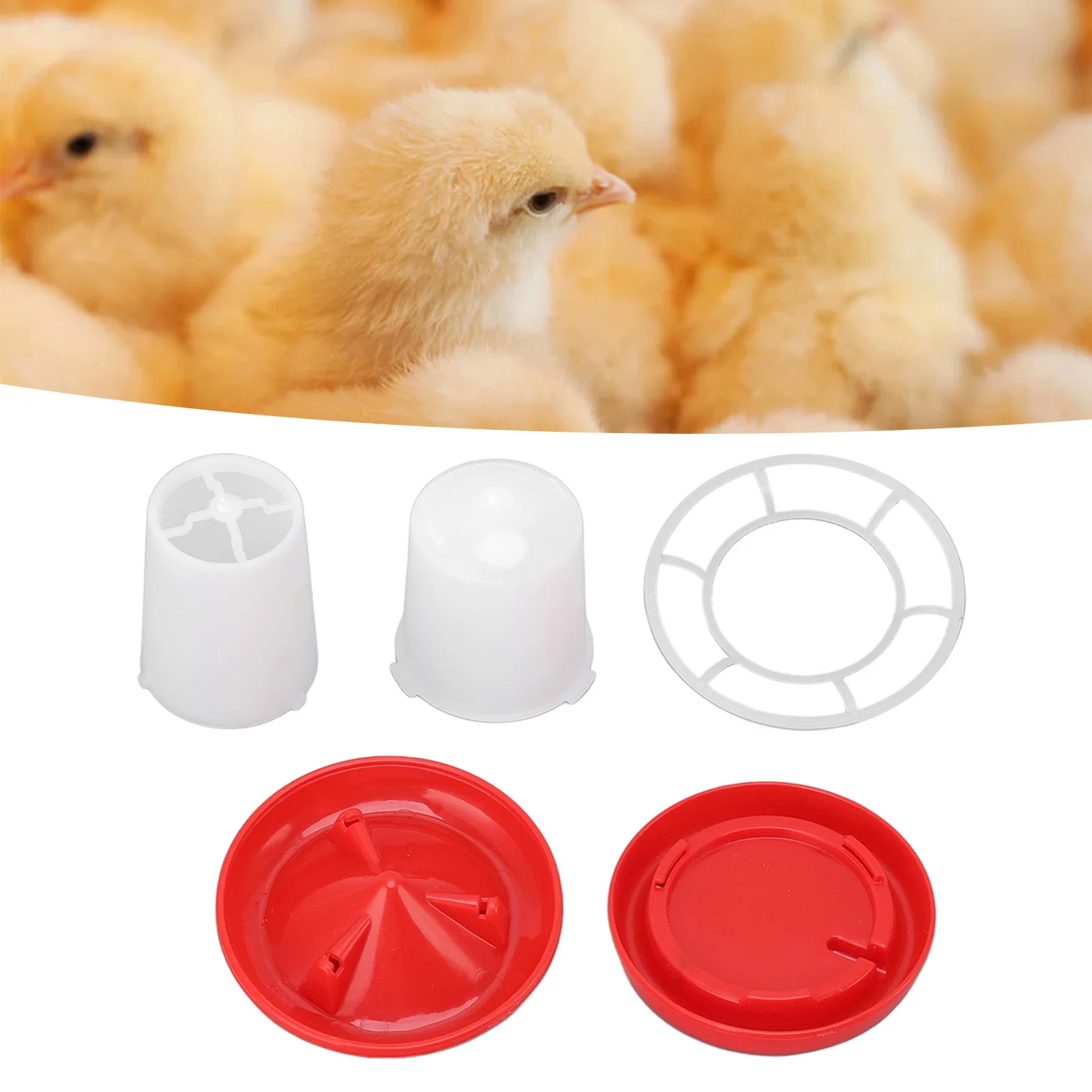 Chick Feeder and Waterer Kit Rotary Sleeve Design Automatic Feeding and Watering Poultry Feeder Waterer Combo Poultry poultry feeder poultry waterer