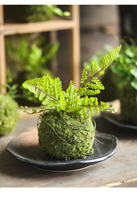 Artificial Plant Fern Ball Simulation Green Moss Ball Grass