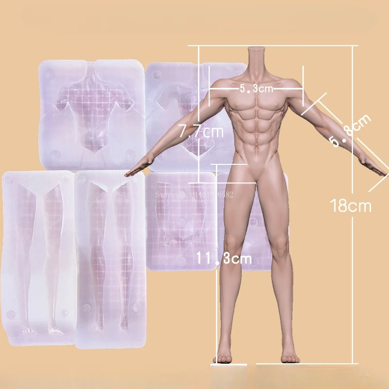 固体人形すべてのシリコーンシミュレーションは、男性 51+wRggDAKL._AC_UF894,